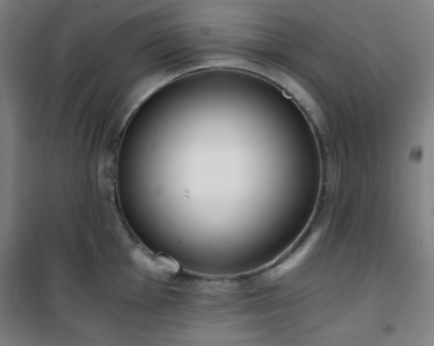 X0000101651001200807101227