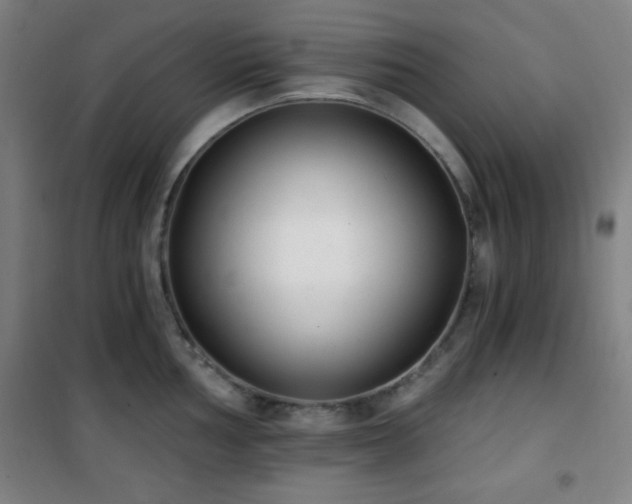 X0000101651002200807101227