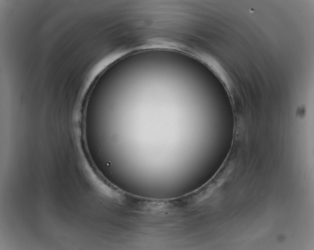 X0000101651003200807101227