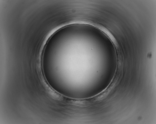 X0000101651004200807101227