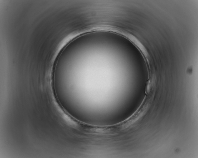 X0000101651005200807101227