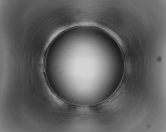 X0000101651006200807101227