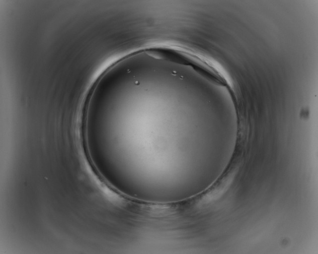 X0000101651007200807101227