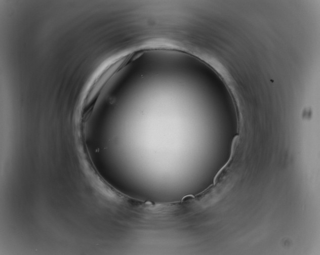 X0000101651008200807101227