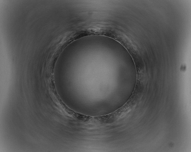 X0000101651009200807101226