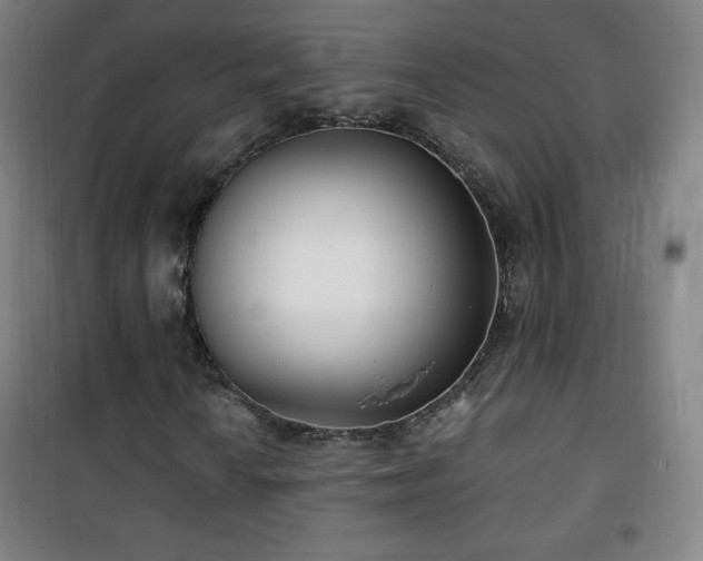 X0000101651010200807101226