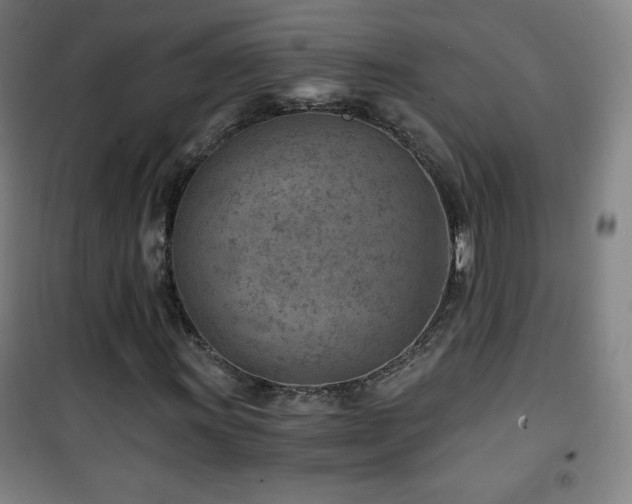 X0000101651011200807101226