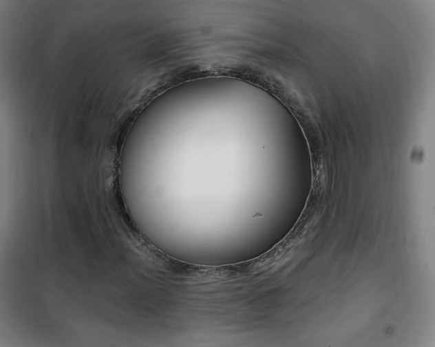 X0000101651012200807101226
