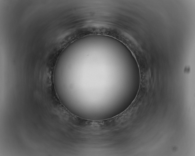 X0000101651013200807101226