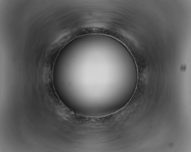 X0000101651014200807101226