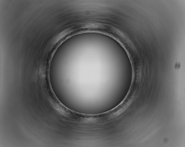 X0000101651017200807101226