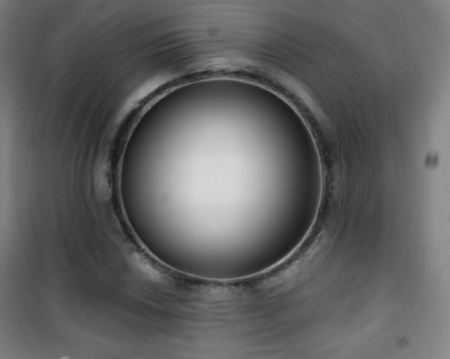 X0000101651018200807101226
