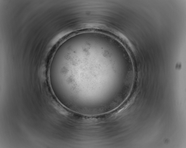 X0000101651019200807101226