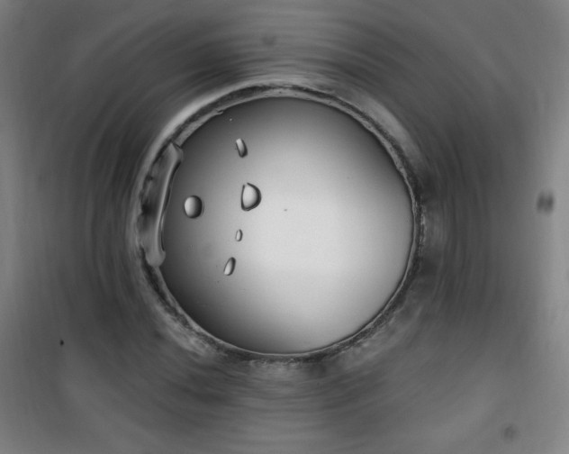 X0000101651020200807101226