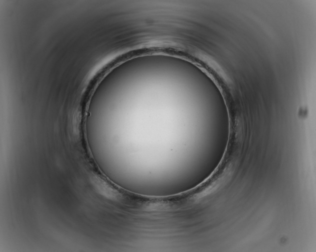 X0000101651021200807101226