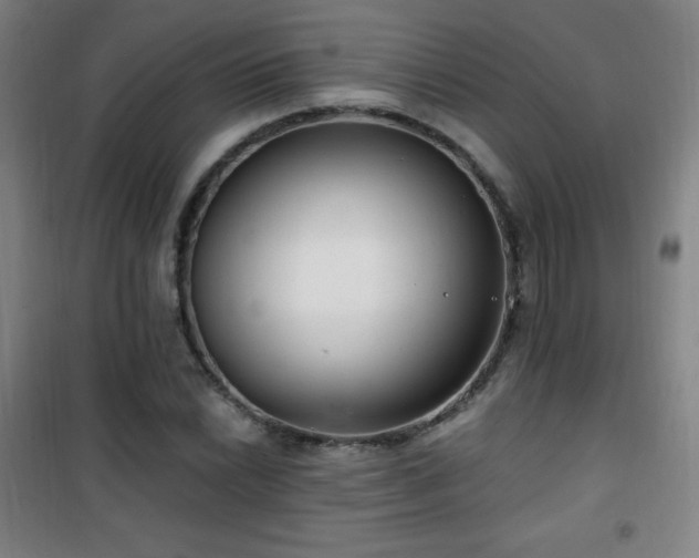X0000101651022200807101226