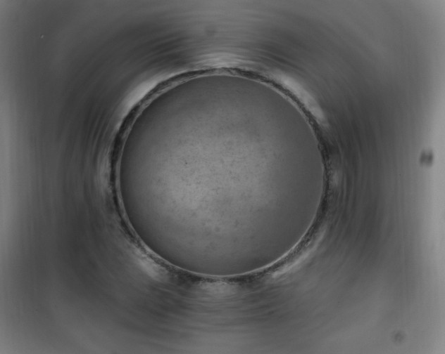 X0000101651023200807101226