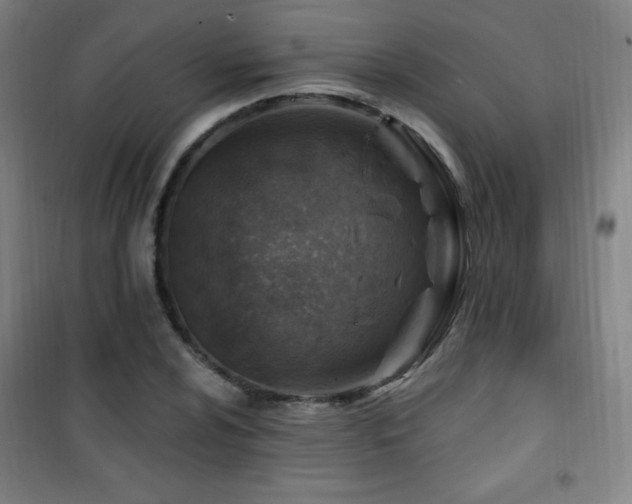 X0000101651024200807101226