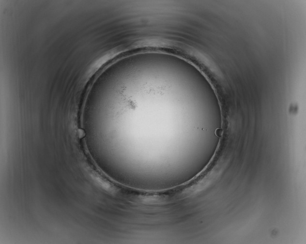 X0000101651025200807101226