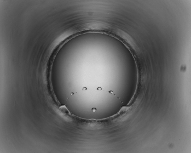 X0000101651026200807101226