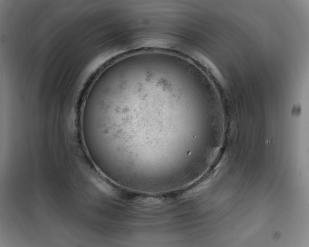 X0000101651027200807101226