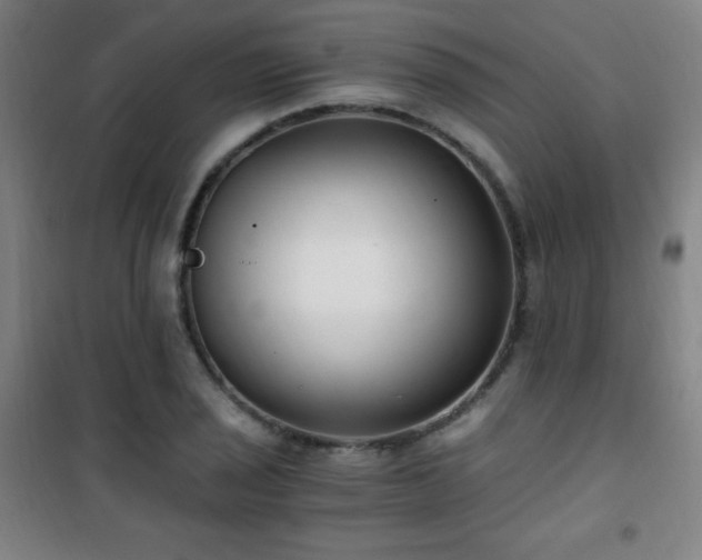 X0000101651029200807101226