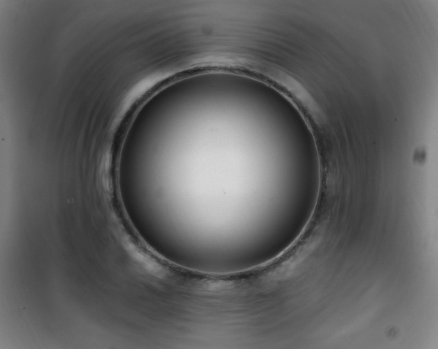X0000101651030200807101226