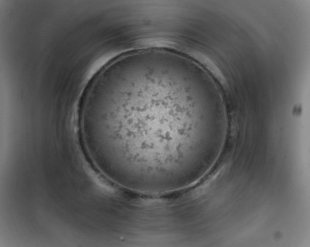 X0000101651031200807101226