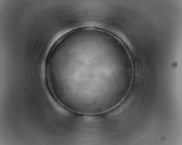 X0000101651032200807101226