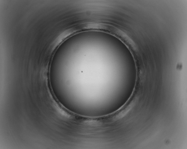 X0000101651033200807101227