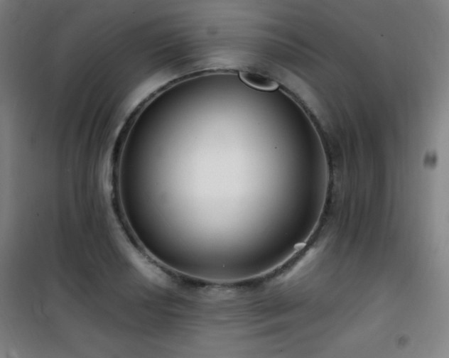 X0000101651034200807101227