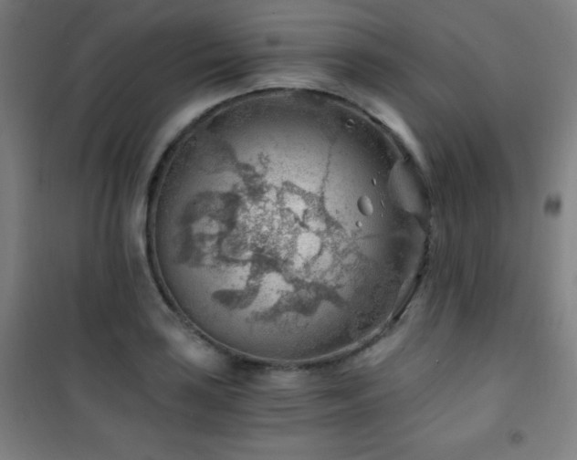 X0000101651035200807101227