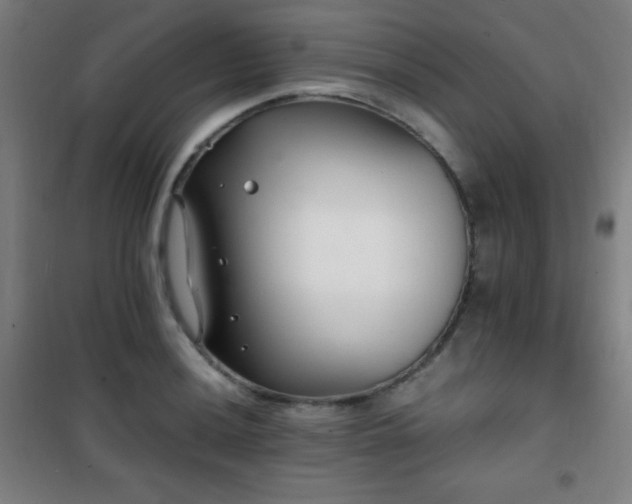 X0000101651036200807101227