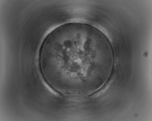 X0000101651037200807101227