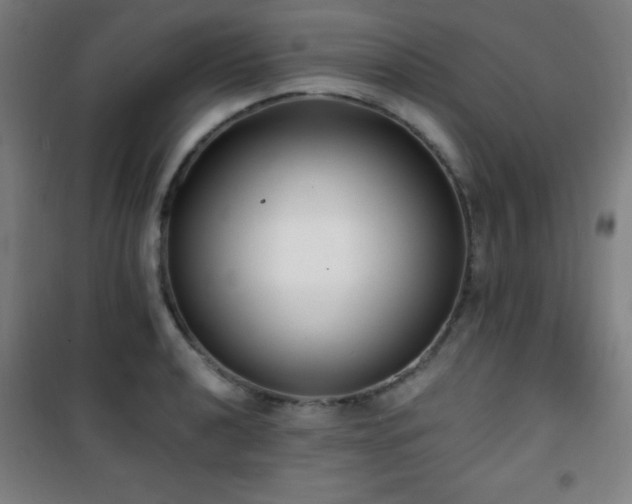 X0000101651040200807101227