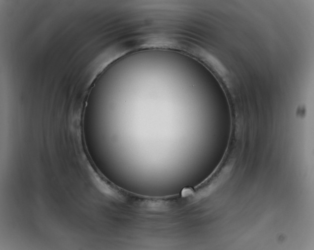 X0000101651041200807101227