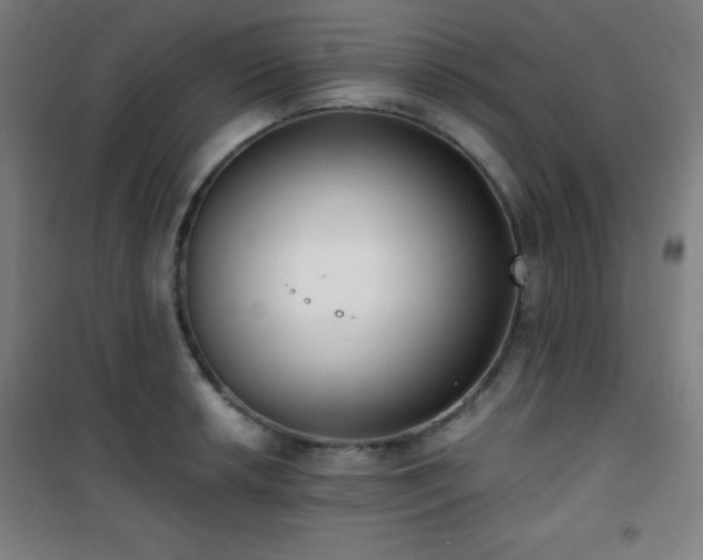 X0000101651042200807101227