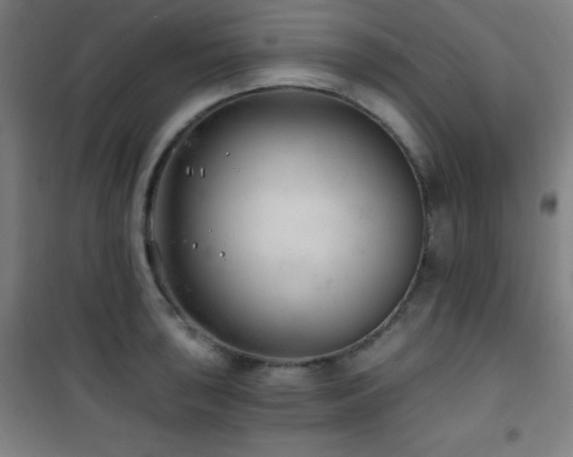 X0000101651043200807101227