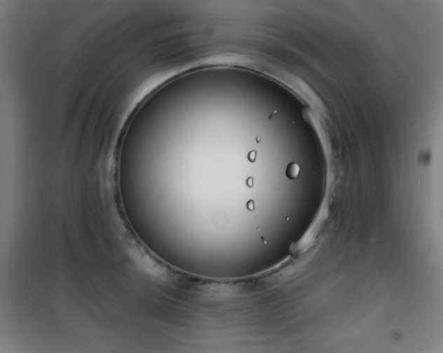 X0000101651044200807101227