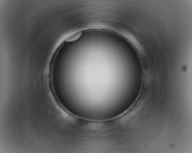 X0000101651046200807101227