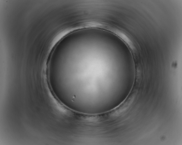 X0000101651047200807101227