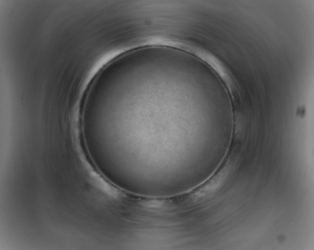 X0000101651048200807101227