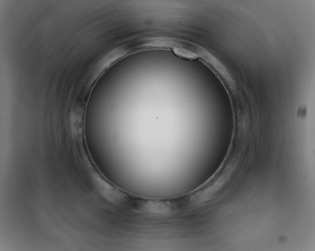 X0000101651049200807101227