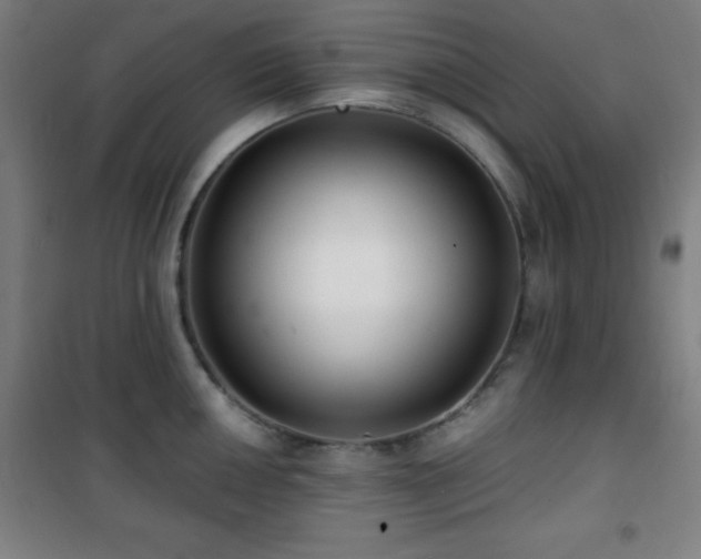 X0000101651050200807101227