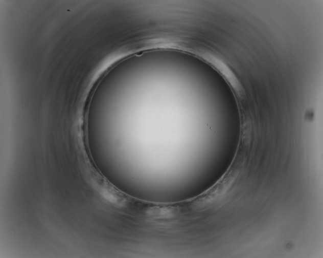 X0000101651051200807101227