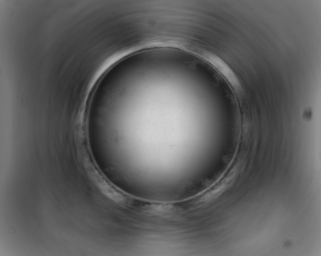 X0000101651052200807101227