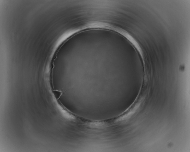 X0000101651053200807101227