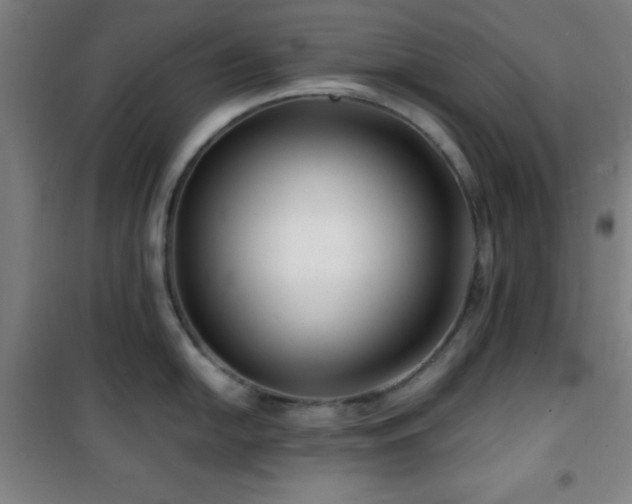 X0000101651054200807101227