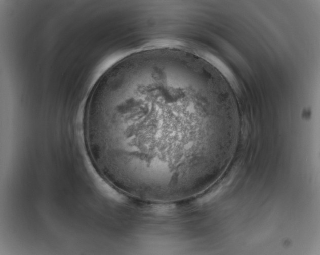 X0000101651055200807101227