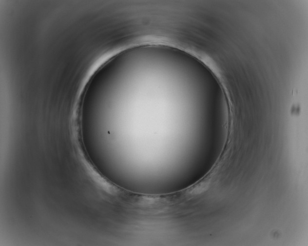 X0000101651056200807101227
